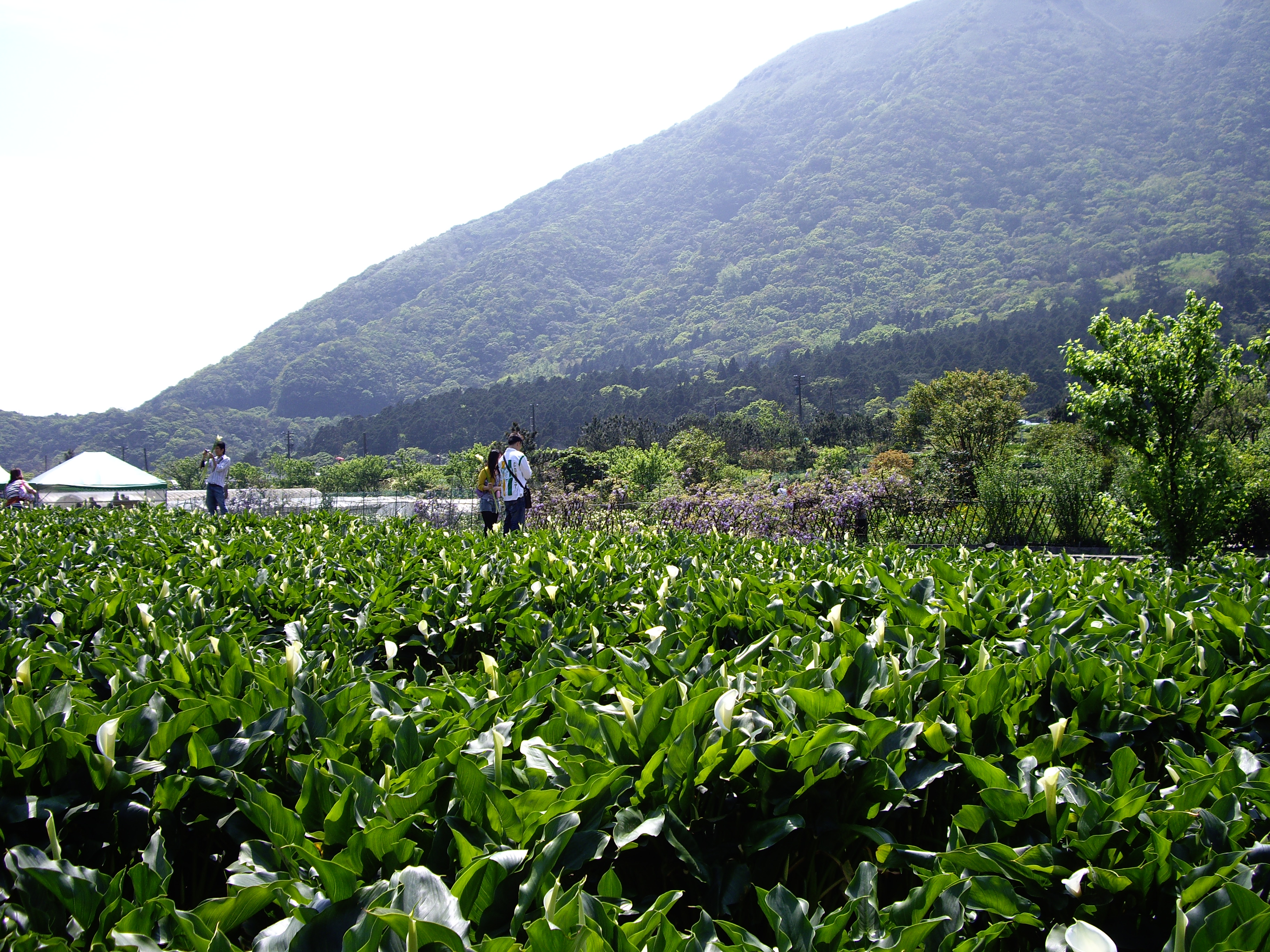 無限臺北放輕鬆 (已停播)